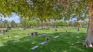 Traditional Burial with Family First Funeral Services in Phoenix AZ